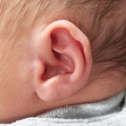 Gallery | Ears R Us | NYC and Trumbull, CT